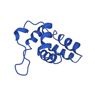 0438_6ncv_L_v1-4
Cryo-EM structure of NLRP6 PYD filament