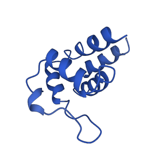 0438_6ncv_M_v1-4
Cryo-EM structure of NLRP6 PYD filament