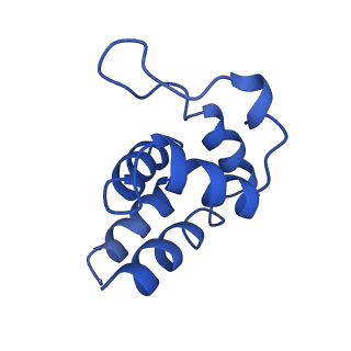 0438_6ncv_O_v1-4
Cryo-EM structure of NLRP6 PYD filament