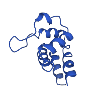 0438_6ncv_P_v1-4
Cryo-EM structure of NLRP6 PYD filament