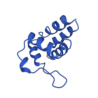 0438_6ncv_R_v1-4
Cryo-EM structure of NLRP6 PYD filament