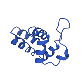 0438_6ncv_T_v1-4
Cryo-EM structure of NLRP6 PYD filament