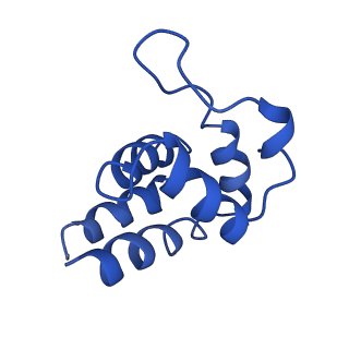 0438_6ncv_V_v1-4
Cryo-EM structure of NLRP6 PYD filament