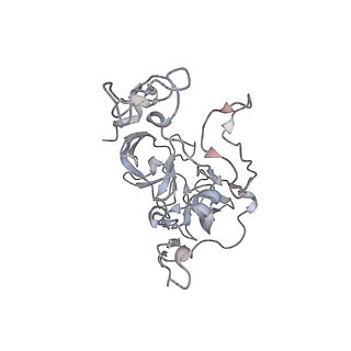 3617_5nco_C_v1-4
Quaternary complex between SRP, SR, and SecYEG bound to the translating ribosome