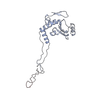 3617_5nco_E_v1-4
Quaternary complex between SRP, SR, and SecYEG bound to the translating ribosome