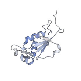 3617_5nco_K_v1-4
Quaternary complex between SRP, SR, and SecYEG bound to the translating ribosome