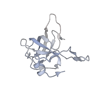 3617_5nco_L_v1-4
Quaternary complex between SRP, SR, and SecYEG bound to the translating ribosome