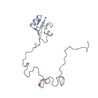 3617_5nco_M_v1-4
Quaternary complex between SRP, SR, and SecYEG bound to the translating ribosome