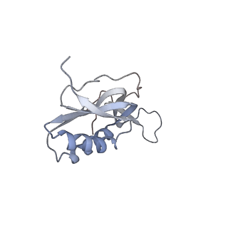 3617_5nco_N_v1-4
Quaternary complex between SRP, SR, and SecYEG bound to the translating ribosome