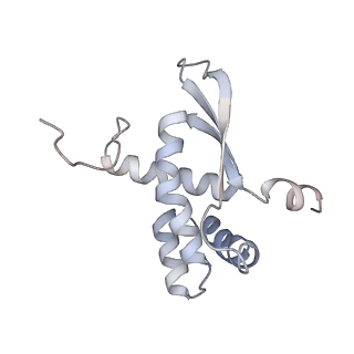 3617_5nco_O_v1-4
Quaternary complex between SRP, SR, and SecYEG bound to the translating ribosome
