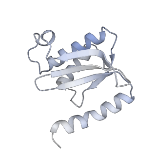 3617_5nco_P_v1-4
Quaternary complex between SRP, SR, and SecYEG bound to the translating ribosome
