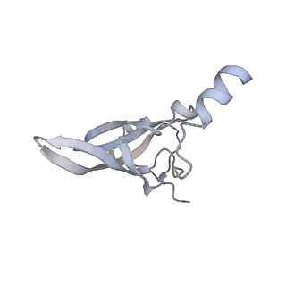 3617_5nco_Q_v1-4
Quaternary complex between SRP, SR, and SecYEG bound to the translating ribosome