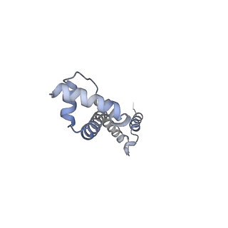 3617_5nco_R_v1-4
Quaternary complex between SRP, SR, and SecYEG bound to the translating ribosome