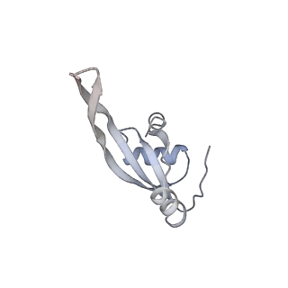 3617_5nco_U_v1-4
Quaternary complex between SRP, SR, and SecYEG bound to the translating ribosome
