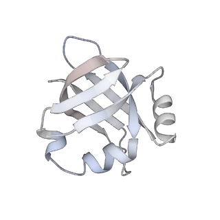 3617_5nco_W_v1-4
Quaternary complex between SRP, SR, and SecYEG bound to the translating ribosome