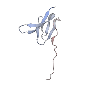 3617_5nco_X_v1-4
Quaternary complex between SRP, SR, and SecYEG bound to the translating ribosome
