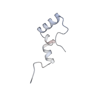3617_5nco_d_v1-4
Quaternary complex between SRP, SR, and SecYEG bound to the translating ribosome