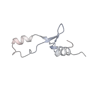 3617_5nco_e_v1-4
Quaternary complex between SRP, SR, and SecYEG bound to the translating ribosome