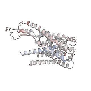 3617_5nco_g_v1-4
Quaternary complex between SRP, SR, and SecYEG bound to the translating ribosome