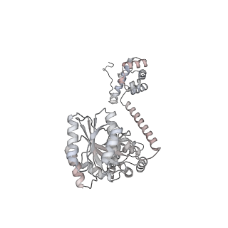 3617_5nco_i_v1-4
Quaternary complex between SRP, SR, and SecYEG bound to the translating ribosome