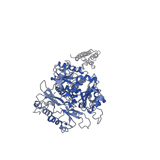 0439_6nd0_A_v1-1
human BK channel reconstituted into liposomes
