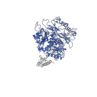 0439_6nd0_B_v1-0
human BK channel reconstituted into liposomes
