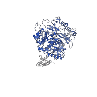 0439_6nd0_B_v1-1
human BK channel reconstituted into liposomes