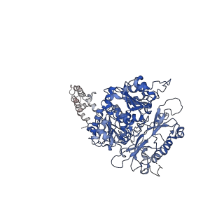 0439_6nd0_C_v1-1
human BK channel reconstituted into liposomes