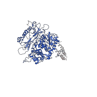 0439_6nd0_D_v1-0
human BK channel reconstituted into liposomes