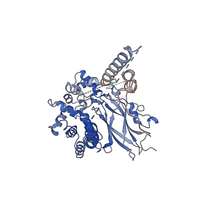 0440_6nd1_A_v1-3
CryoEM structure of the Sec Complex from yeast
