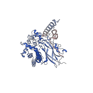 0440_6nd1_A_v1-4
CryoEM structure of the Sec Complex from yeast