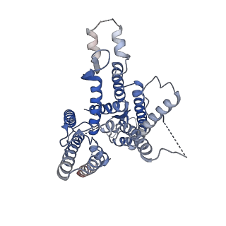 0440_6nd1_B_v1-3
CryoEM structure of the Sec Complex from yeast