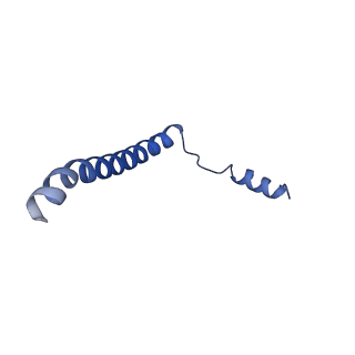 0440_6nd1_C_v1-4
CryoEM structure of the Sec Complex from yeast