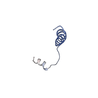 0440_6nd1_D_v1-4
CryoEM structure of the Sec Complex from yeast