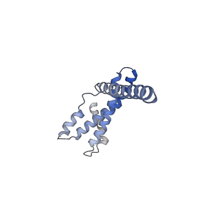 0440_6nd1_E_v1-3
CryoEM structure of the Sec Complex from yeast
