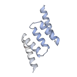 0440_6nd1_F_v1-3
CryoEM structure of the Sec Complex from yeast