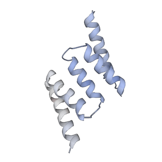 0440_6nd1_F_v1-4
CryoEM structure of the Sec Complex from yeast