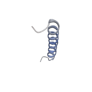 0441_6nd4_A_v2-1
Conformational switches control early maturation of the eukaryotic small ribosomal subunit