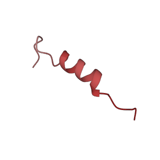 0441_6nd4_D_v2-1
Conformational switches control early maturation of the eukaryotic small ribosomal subunit