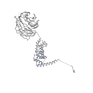 0441_6nd4_I_v2-1
Conformational switches control early maturation of the eukaryotic small ribosomal subunit