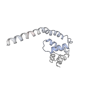 0441_6nd4_K_v1-2
Conformational switches control early maturation of the eukaryotic small ribosomal subunit