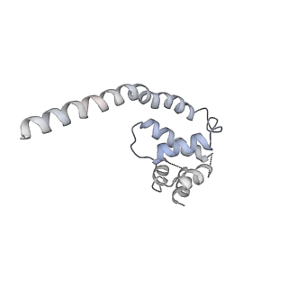 0441_6nd4_K_v2-1
Conformational switches control early maturation of the eukaryotic small ribosomal subunit