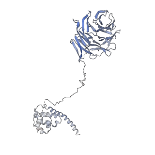 0441_6nd4_L_v2-1
Conformational switches control early maturation of the eukaryotic small ribosomal subunit