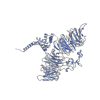 0441_6nd4_O_v2-1
Conformational switches control early maturation of the eukaryotic small ribosomal subunit