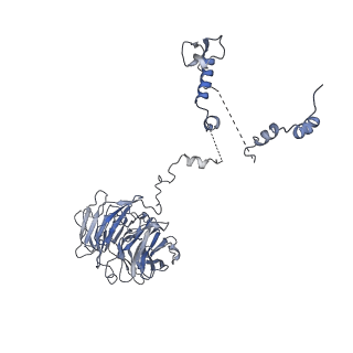 0441_6nd4_S_v2-1
Conformational switches control early maturation of the eukaryotic small ribosomal subunit