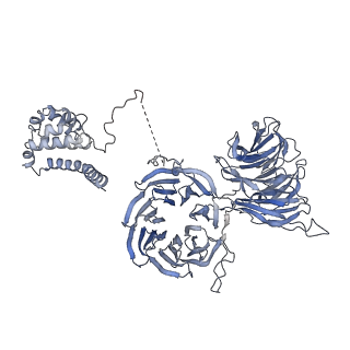 0441_6nd4_T_v2-1
Conformational switches control early maturation of the eukaryotic small ribosomal subunit