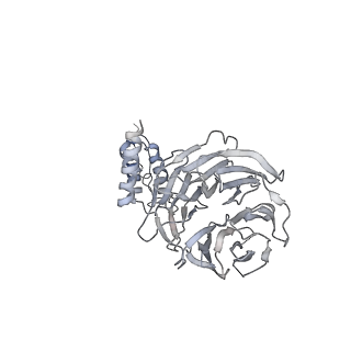 0441_6nd4_U_v2-1
Conformational switches control early maturation of the eukaryotic small ribosomal subunit