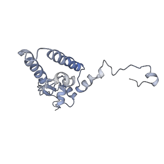 0441_6nd4_Z_v2-1
Conformational switches control early maturation of the eukaryotic small ribosomal subunit