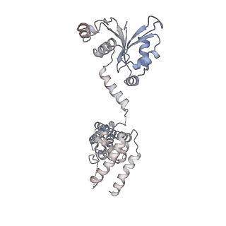 0441_6nd4_a_v2-1
Conformational switches control early maturation of the eukaryotic small ribosomal subunit