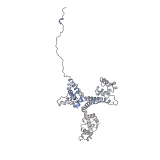 0441_6nd4_b_v2-1
Conformational switches control early maturation of the eukaryotic small ribosomal subunit